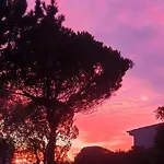 Sondela Self Catering Chalet
