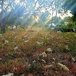 Chalet Sondela Self Catering Sao Martinho do Porto