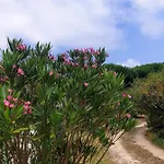 Sondela Self Catering Sao Martinho do Porto