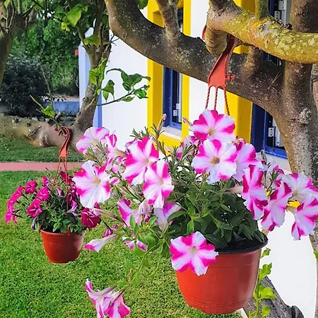 Sondela Self Catering * ساو مارتينهو دو بورتو