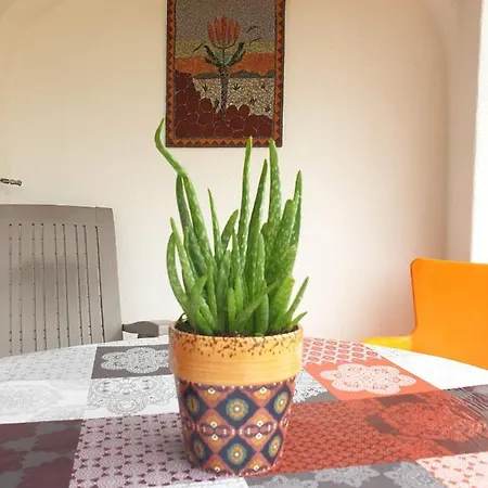 Sondela Self Catering Alpesi faház