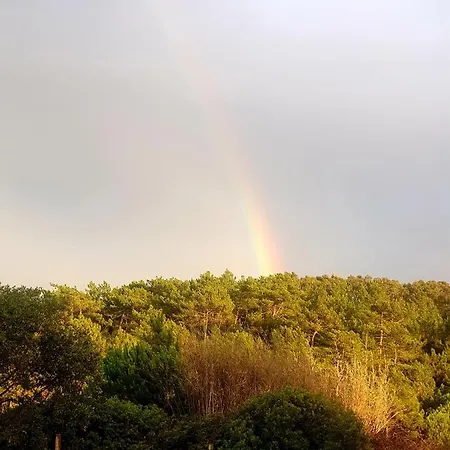 Sondela Self Catering São Martinho do Porto