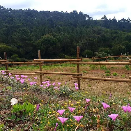 Sondela Self Catering Dağ evi