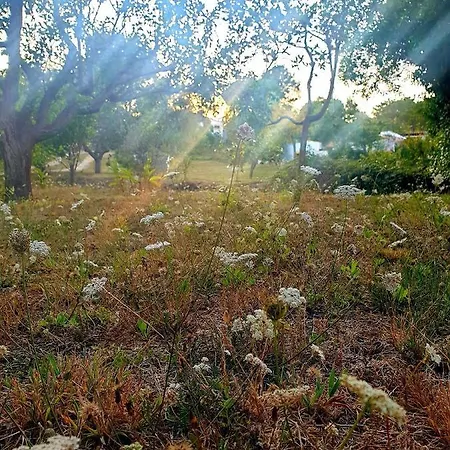 Chalet Sondela Self Catering São Martinho do Porto