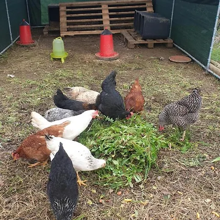 Sondela Self Catering Chalet *