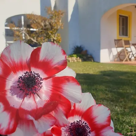 شاليه Sondela Self Catering