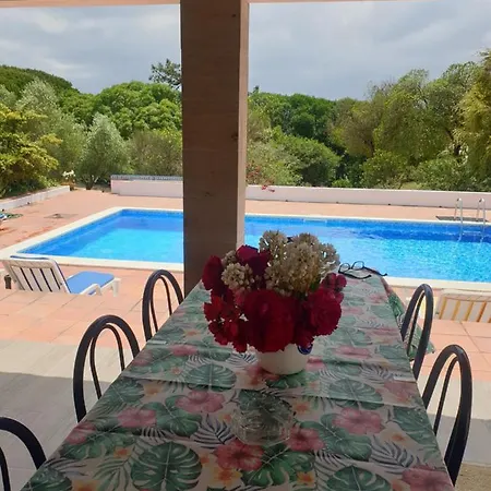 Sondela Self Catering Dağ evi