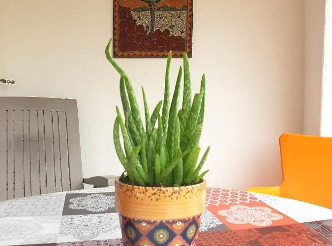 Sondela Self Catering Chalet