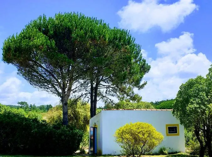 Sondela Self Catering São Martinho do Porto