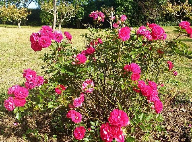 Sondela Self Catering Chalet São Martinho do Porto