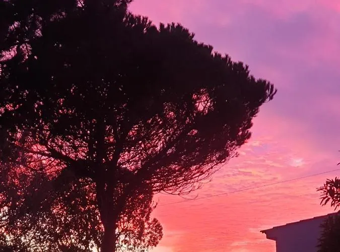 Sondela Self Catering Chalet