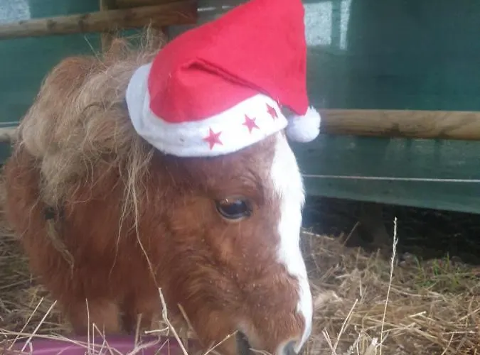 Sondela Self Catering Chalet