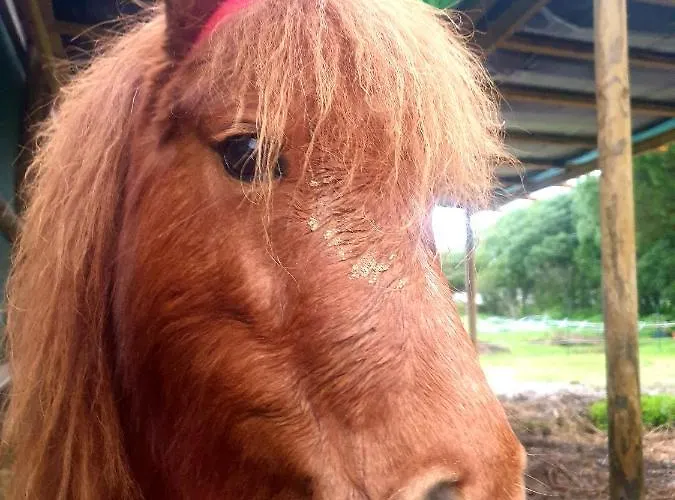 Sondela Self Catering * São Martinho do Porto