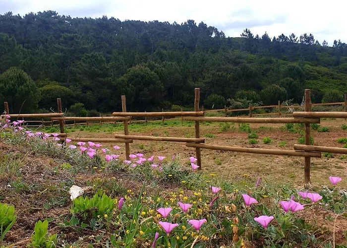 Sondela Self Catering Chalet