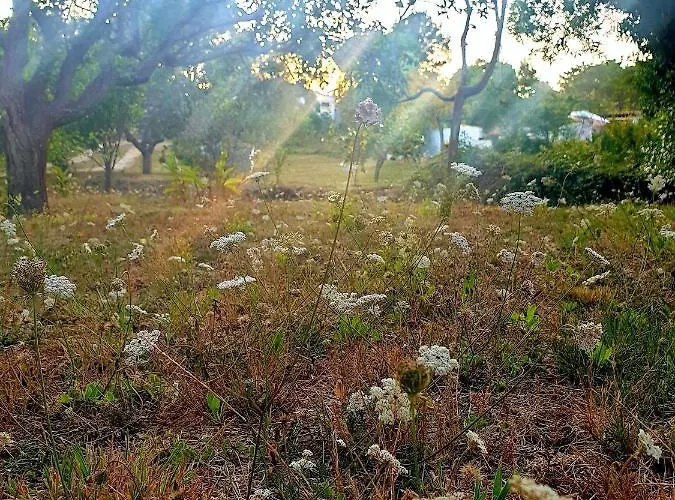 Chalet Sondela Self Catering São Martinho do Porto