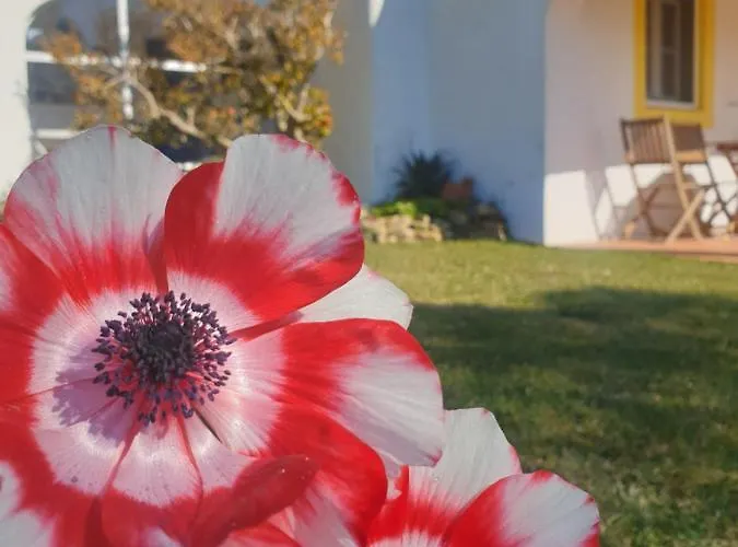 Chalet Sondela Self Catering